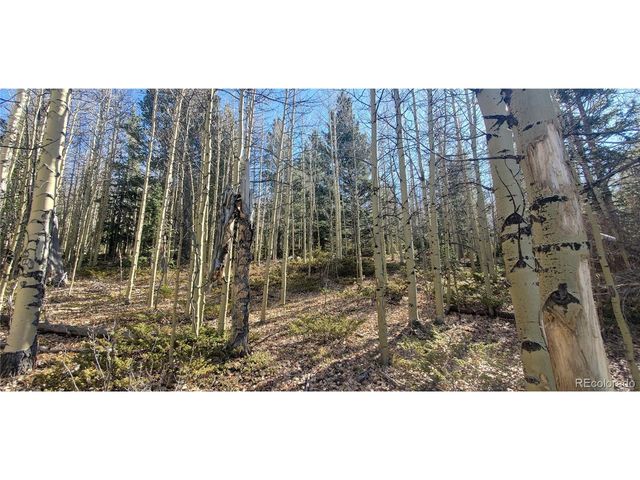 6414 Bronfman Rd, Fort Garland, CO 81133