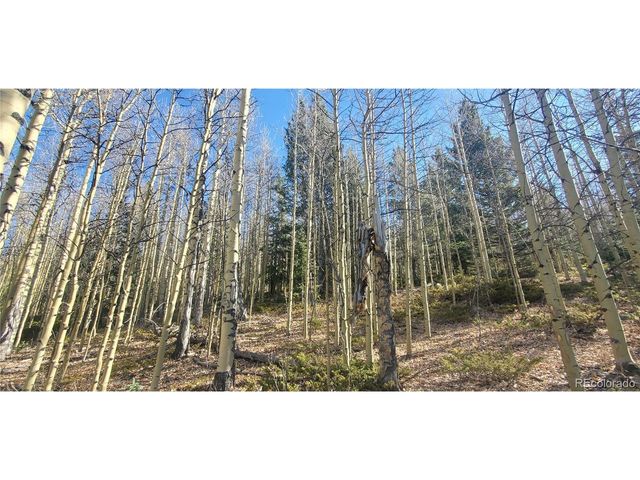 6414 Bronfman Rd, Fort Garland, CO 81133