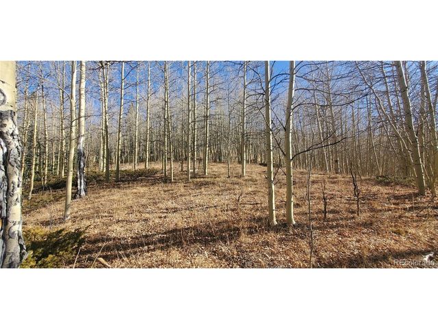 6414 Bronfman Rd, Fort Garland, CO 81133