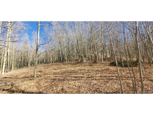 6414 Bronfman Rd, Fort Garland, CO 81133