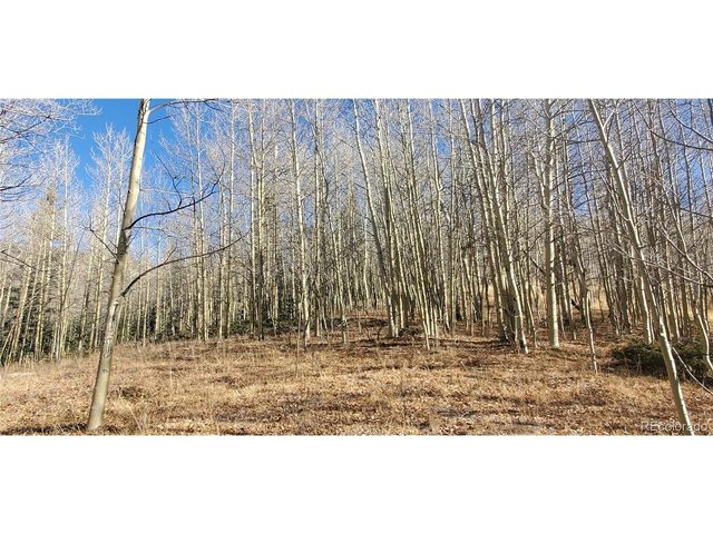 6414 Bronfman Rd, Fort Garland, CO 81133