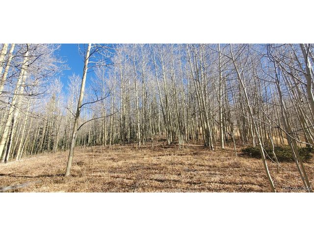 6414 Bronfman Rd, Fort Garland, CO 81133