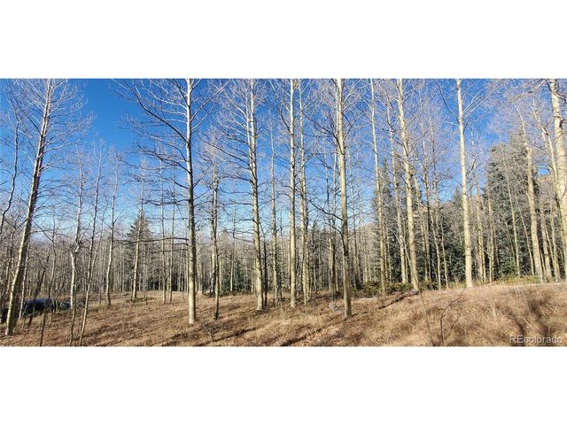6414 Bronfman Rd, Fort Garland, CO 81133