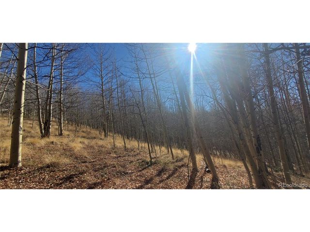 6414 Bronfman Rd, Fort Garland, CO 81133