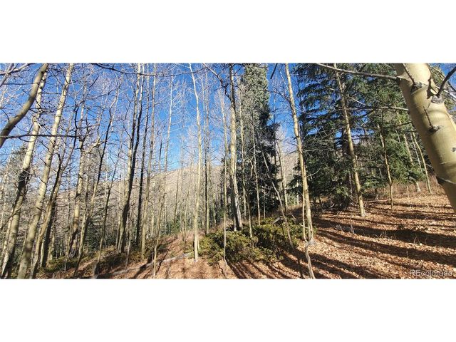 6414 Bronfman Rd, Fort Garland, CO 81133