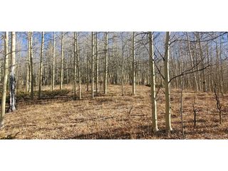 6414 Bronfman Rd, Fort Garland, CO 81133