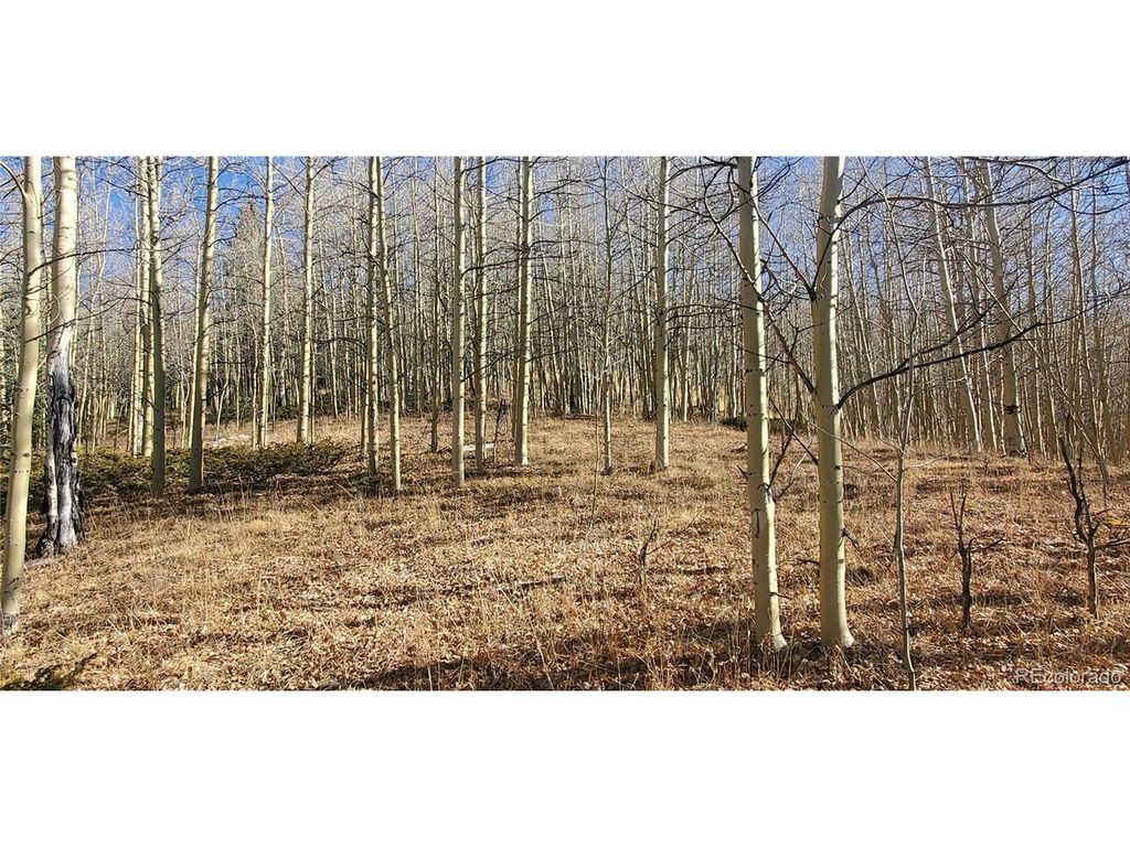 6414 Bronfman Rd, Fort Garland, CO 81133