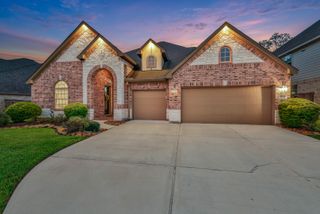 19248 Yellow Chestnut Lane, New Caney, TX 77357