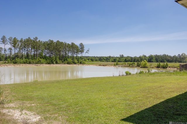 17207 Schoolhouse Rd, Livingston, LA 70754