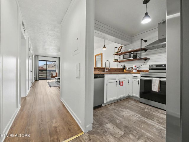 616 Turkey Nest Rd Apt 313, Gatlinburg, TN 37738
