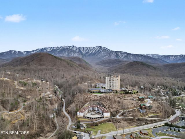 616 Turkey Nest Rd Apt 313, Gatlinburg, TN 37738