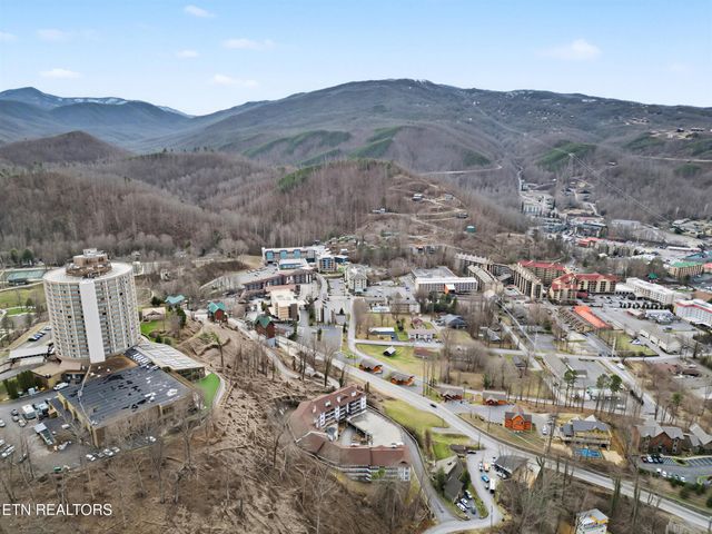 616 Turkey Nest Rd Apt 313, Gatlinburg, TN 37738