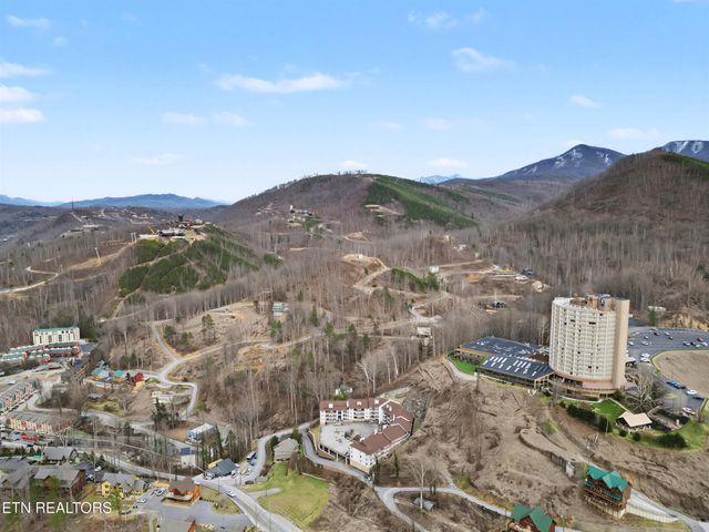 616 Turkey Nest Rd Apt 313, Gatlinburg, TN 37738