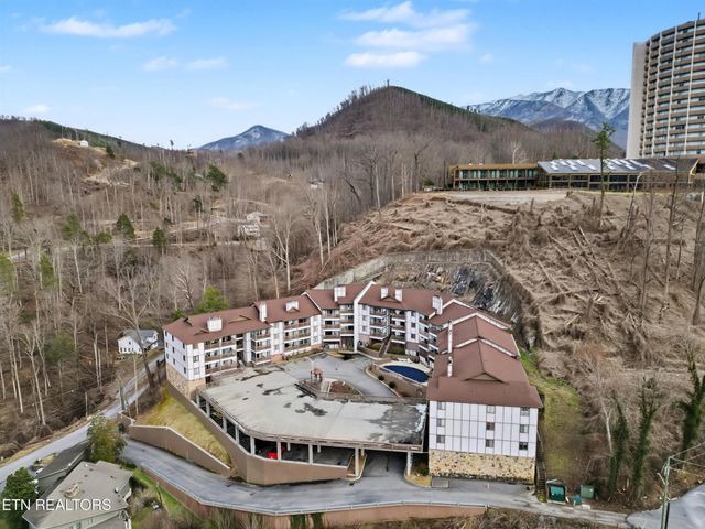 616 Turkey Nest Rd Apt 313, Gatlinburg, TN 37738