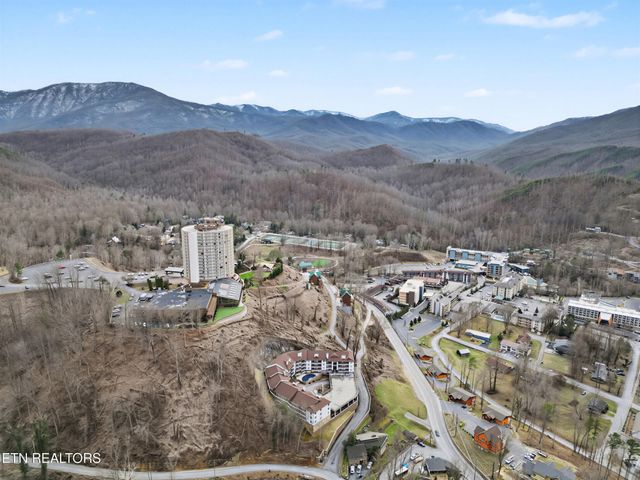 616 Turkey Nest Rd Apt 313, Gatlinburg, TN 37738
