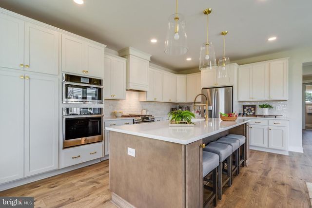 30461 BLUE BEECH LN, Frankford, DE 19945