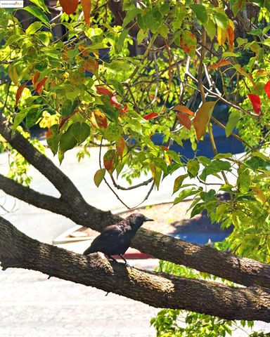 1457 N Camino Alto 214, Vallejo, CA 94589