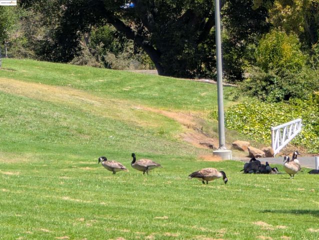 1457 N Camino Alto 214, Vallejo, CA 94589