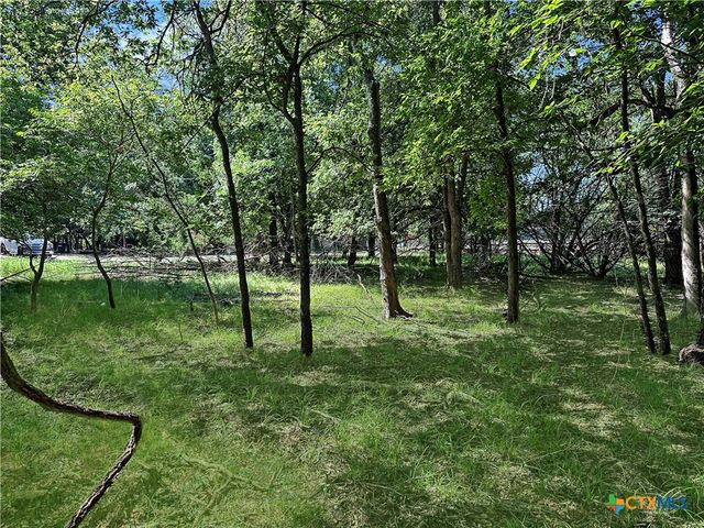 1 Dog Wood Court, Morgans Point Resort, TX 76513
