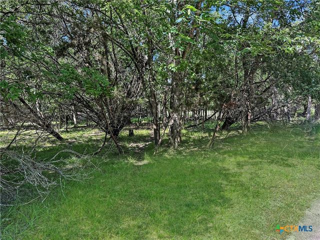 1 Dog Wood Court, Morgans Point Resort, TX 76513