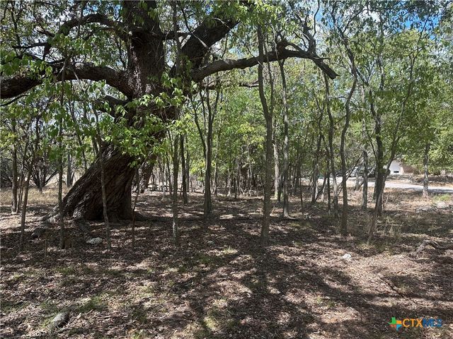 1 Dog Wood Court, Morgans Point Resort, TX 76513