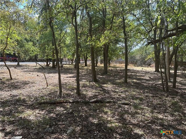 1 Dog Wood Court, Morgans Point Resort, TX 76513