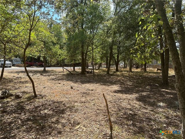 1 Dog Wood Court, Morgans Point Resort, TX 76513