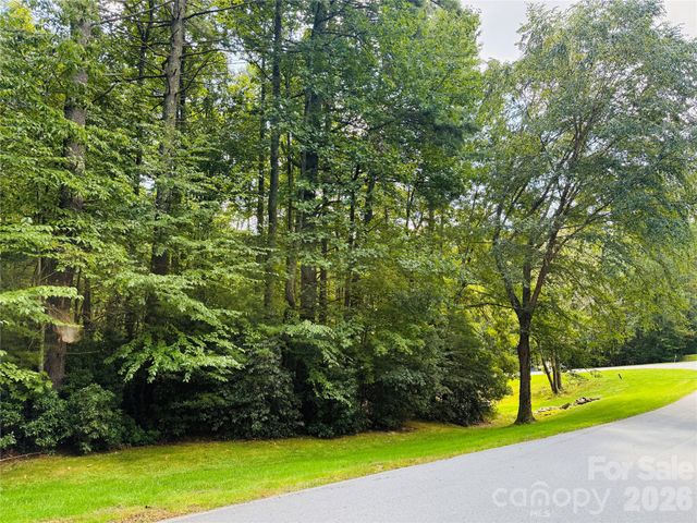 20 Prickly Briar Road, Hendersonville, NC 28739