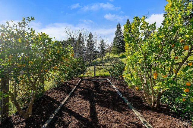 23121 Vineyard Rd, Geyserville, CA 95441