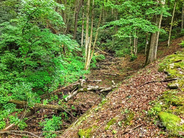 48 Easy Street, Waynesville, NC 28786