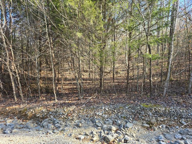 Lot 18R N Roberts Bend Road, Burnside, KY 42519