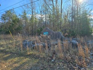 Lot 18R N Roberts Bend Road, Burnside, KY 42519