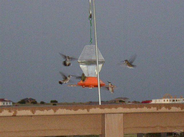 5741 St Charles River Dr, Pueblo, CO 81004