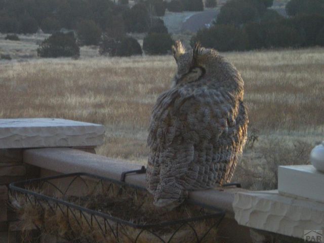 5741 St Charles River Dr, Pueblo, CO 81004