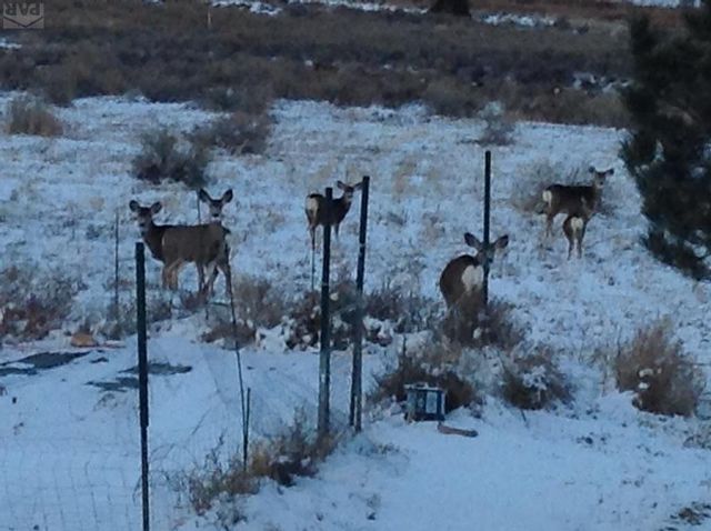 5741 St Charles River Dr, Pueblo, CO 81004