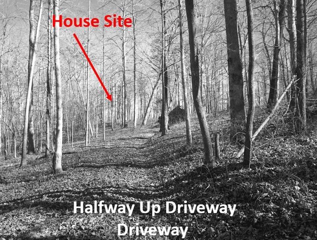 5510 Garrison Springs Ct, Franklin, TN 37064