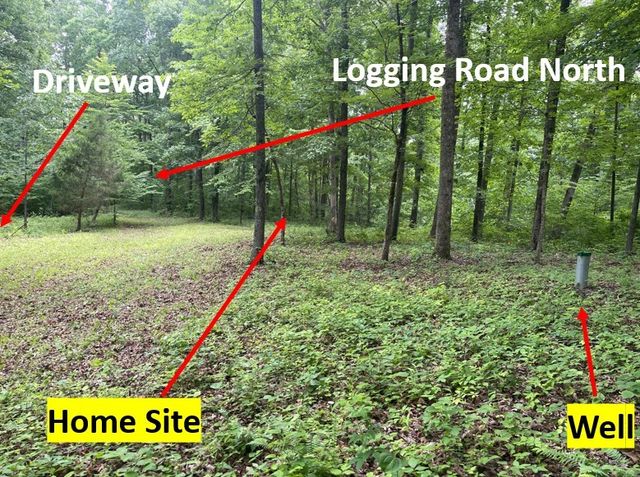 5510 Garrison Springs Ct, Franklin, TN 37064