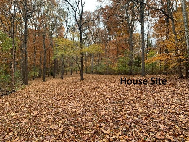 5510 Garrison Springs Ct, Franklin, TN 37064