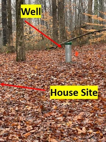 5510 Garrison Springs Ct, Franklin, TN 37064