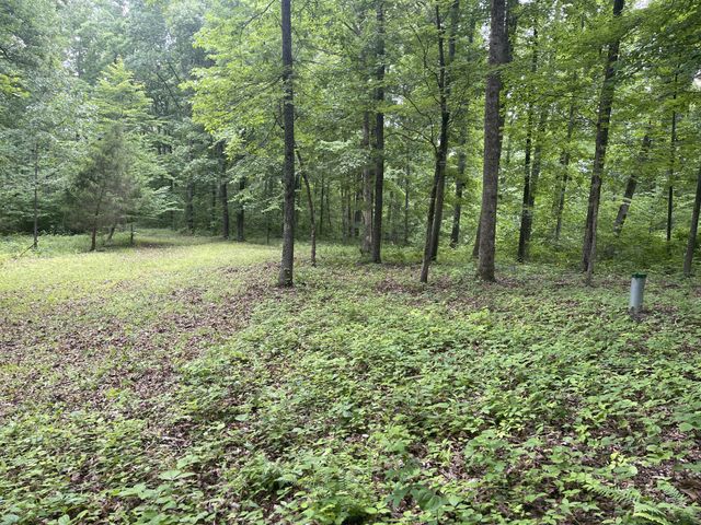 5510 Garrison Springs Ct, Franklin, TN 37064