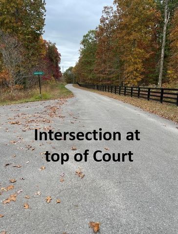 5510 Garrison Springs Ct, Franklin, TN 37064