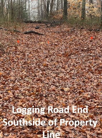 5510 Garrison Springs Ct, Franklin, TN 37064