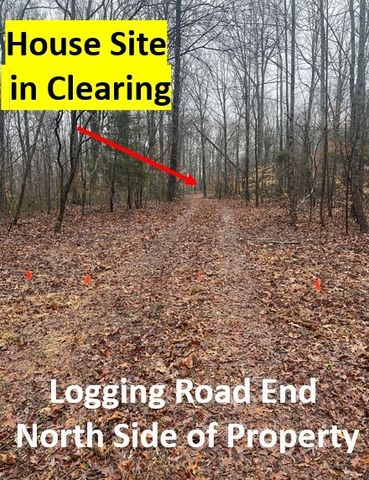 5510 Garrison Springs Ct, Franklin, TN 37064