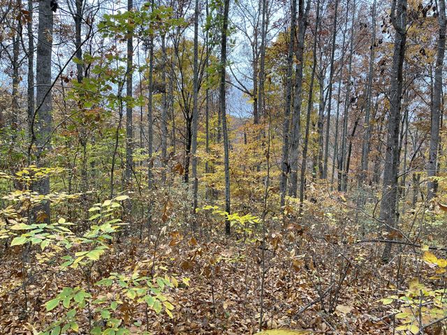 5510 Garrison Springs Ct, Franklin, TN 37064