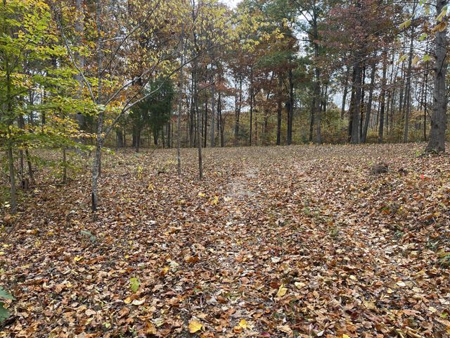 5510 Garrison Springs Ct, Franklin, TN 37064