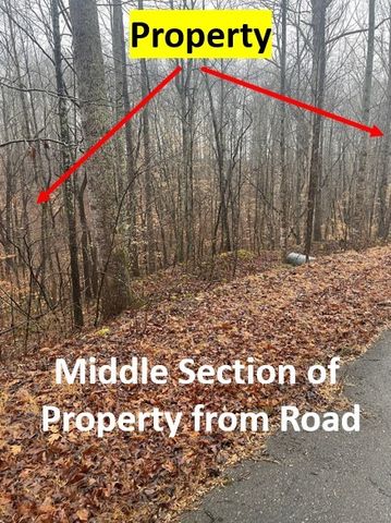 5510 Garrison Springs Ct, Franklin, TN 37064