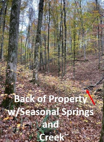 5510 Garrison Springs Ct, Franklin, TN 37064