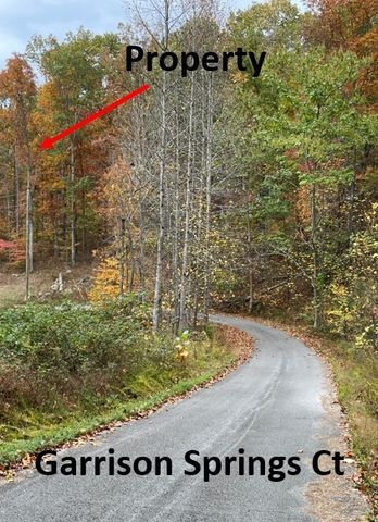 5510 Garrison Springs Ct, Franklin, TN 37064