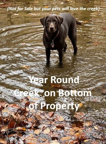 5510 Garrison Springs Ct, Franklin, TN 37064