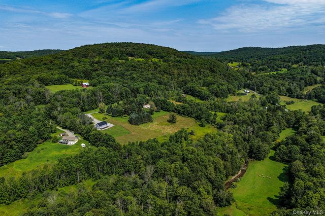 129 Nelson Road, Hankins, NY 12741